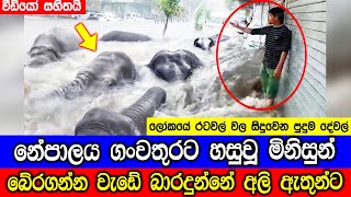 ලෝකයේ රටවල් වල සිදුවෙන ඔබට හිතාගන්නවත් බැරි දේවල් [upl. by Emiolhs]