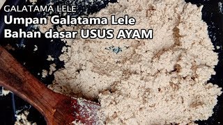 UMPAN GALATAMA LELE BAHAN DASAR USUS AYAM [upl. by Teloiv951]