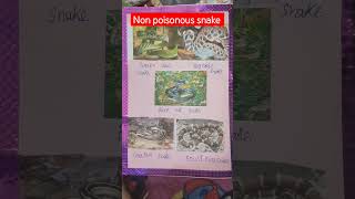 non poisonous snake [upl. by Arsuy]