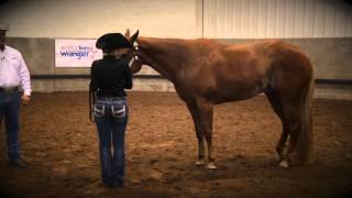 Showmanship SetUp Tips [upl. by Olette181]