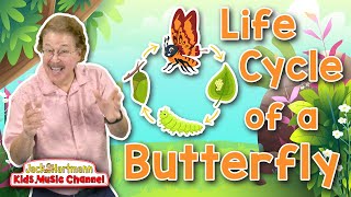 Life Cycle of a Butterfly  Metamorphosis Song for Kids  Jack Hartmann [upl. by Wesa634]