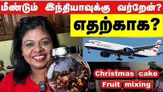 ✈️ மீண்டும் ஊருக்கு கிளம்பியாச்சிஏன்Christmas cake fruit mixingகண் கொள்ளா காட்சி [upl. by Bodkin]