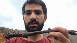 Vlog hut flood control with quotSantas grapevinesquot [upl. by Etiragram]