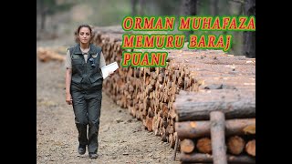 Orman Muhafaza Memuru Kpss Baraj Puanı Kaç Oldu [upl. by Stockwell]