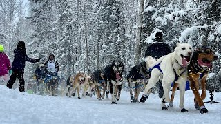 Iditarod 2022 The Ceremonial Start [upl. by Eugatnom]