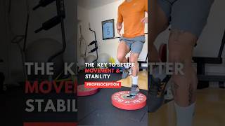 Proprioception The Key to Better Movement and Stability [upl. by Sitra812]