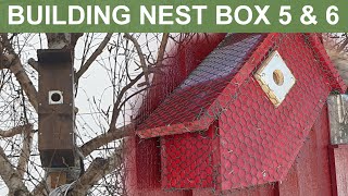 Building Nest Box 5 amp 6 [upl. by Gusba]