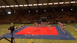 Taekwondo Korean show 2015 in Sweden Stockholm [upl. by Mcnalley776]