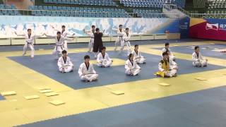 Kukkiwon Demo Team at WTLF 2012 [upl. by Bullion]