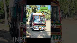 Coconut Export Pollachi Semi husked Coconut  Dubai coconut export agribusiness coconutexport yt [upl. by Kenway]