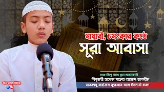 মায়াবী চমৎকার কন্ঠে সূরা আবাসা  Quran Tilawat  Hafez Saleh Ahmad Takrim  সালেহ আহমদ তাকরিম [upl. by Yenroc]