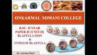 Lt9 Developmental Biology  Blastulation amp Types of Blastula  BSc II Year [upl. by Aiuqet]