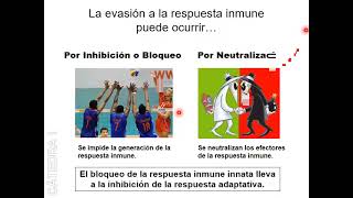 seminario 4  Patogenicidad bacteriana III [upl. by Spillar152]