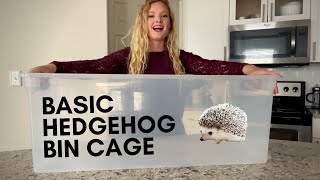 Setting Up A Basic  Budget Friendly Hedgehog Cage [upl. by Neeluj460]