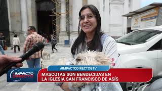 Mascotas como perros y gatos reciben la bendición en el día de San Francisco de Asís [upl. by Ardelia]