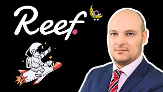 Reef Finance  Petite Crypto à Fort Potentiel [upl. by Etep746]