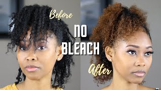 How I Dye My Natural Hair With No Bleach  Clairol Review [upl. by Annawahs11]