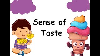 Sense of Taste  Five senses  vocabulary for kids  Senses for Kids How we can taste [upl. by Bibi]