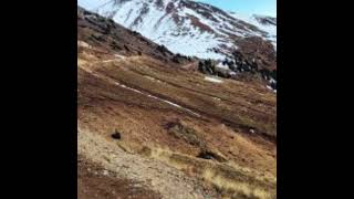 COLORADO San Juan Mountains High Mountain Land near Silverton and Gladstone mountainproperties [upl. by Sutton502]