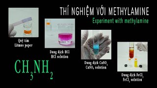 Thí nghiệm với methylamine CH3NH2  Quỳ tím CH3NH2  HCl CH3NH2  CuSO4 CH3NH2  FeCl3 [upl. by Koch]