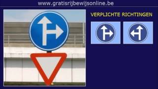 GRATIS RIJBEWIJS ONLINE 23 Rijbewijs B  VERPLICHTE RIJRICHTING  EENRICHTINGSVERKEER [upl. by Itnavart]