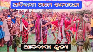 Daba daba pani jharana nale Adibasi ame kandha paraja Suravi dance 2024 [upl. by Liss52]