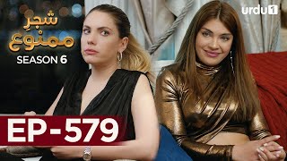 ShajareMamnu  Episode 579  Turkish Drama Forbidden Fruit  Urdu Dubbing  15 August 2023 [upl. by Nylarej]