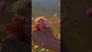 Tenu jad hasdi vekha status  Another love song  shorts viral explore aesthetic shortsvideo [upl. by Idnat405]