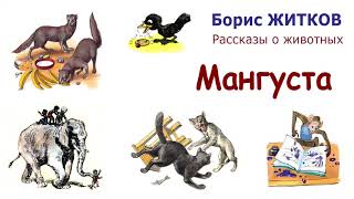 Борис Житков quotМангустаquot  Рассказы о животных  Слушать [upl. by Maguire]