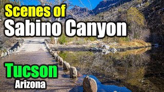 Scenes of Sabino Canyon  Tucson Arizona [upl. by Yspyg]