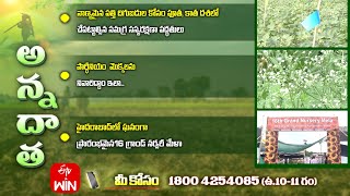 1st September 2024  Annadata  అన్నదాత  Full Episode  ETV Telugu [upl. by Laurent718]