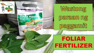 How Foliar fertilizer works Tamang Pagaabono ng foliar fertilizer  Agrigabay [upl. by Hpsoj]