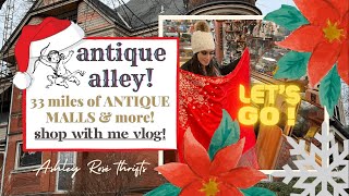 ANTIQUE ALLEY 😍 YES Shopping a 33 MILE TRAIL of ANTIQUE STORES amp MORE Shop with me all day long [upl. by Aramal]