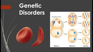 Genetic Disorders [upl. by Nerag]