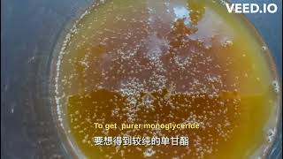 How to production monoglycerides [upl. by Sucramel171]