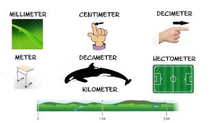 Rekenen met het metriek stelsel Deel 1 Lengte [upl. by Lorrayne]