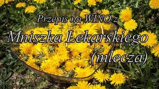 Przepis na Wino z Mniszka Lekarskiego Mlecza [upl. by Assej487]