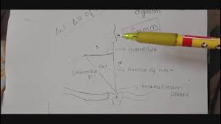 anterior triangle of neck with mnemonic and diagram [upl. by Noxaj443]