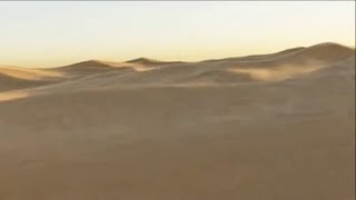 Backrooms  Arabian Desert level 46 found footage [upl. by Begga]