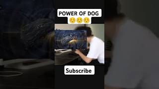 Pubg dog power crate openshortsviralvidelytshorts [upl. by Atnwahsal645]