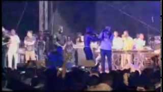 Tinie Tempah Performing quotPass Outquot  Koko Concert 2012 [upl. by Harod215]