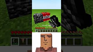 Villager Filler Mod Logic Reaction Oi Oi Oi Meme minecraft shorts short [upl. by Mairam]