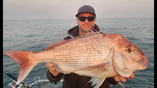 SNAPPER FISHING  PORT PHILLIP [upl. by Missi]