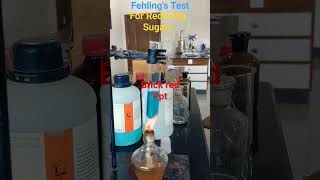 Fehling Test  Identification Test for reducing sugars chemistry electic biochemistry [upl. by Ecirtnuahs]