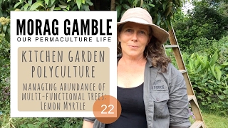 Kitchen Garden Polyculture Managing the Abundance [upl. by Aicile501]