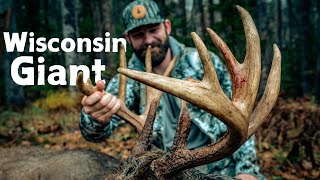 The Wisconsin Archery Season GIANT BUCK DOWN [upl. by Yrogerg]