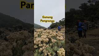 Gunung Pangrango pangrango jabar westjavaindonesia hiking [upl. by Luciana]