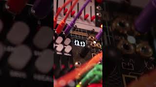 Forge Rythm with every beat modulove eurorack [upl. by Lomax]