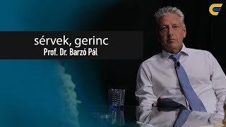 Gerincproblémák és kezelésük a modern társadalomban  prof Dr Barzó Pál  egyetem tv  Tandem [upl. by Joshi]