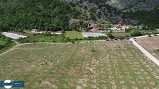 Sadnja maslinika Poprati Stolac  Eko park Bartoli [upl. by Lesh]